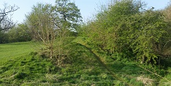 Flitwick Castle